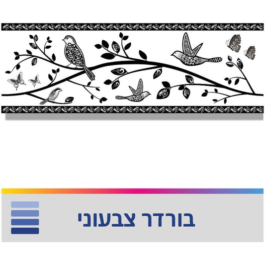 בורדר ציפורים